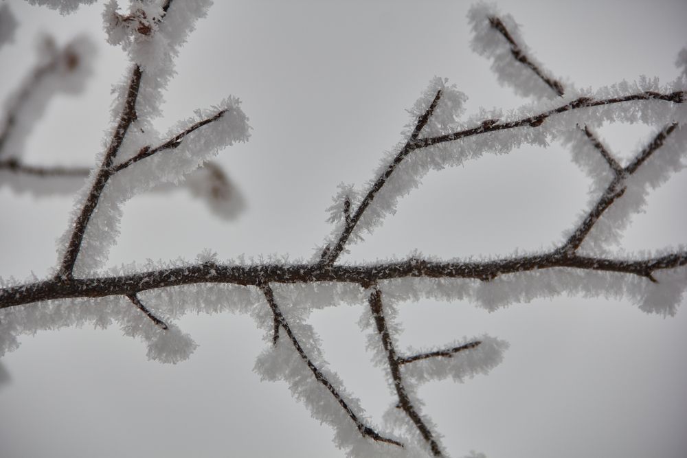 Фотография автора Наталия Мащенко