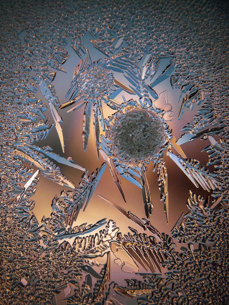 Photograph by Lapshina Vladlena