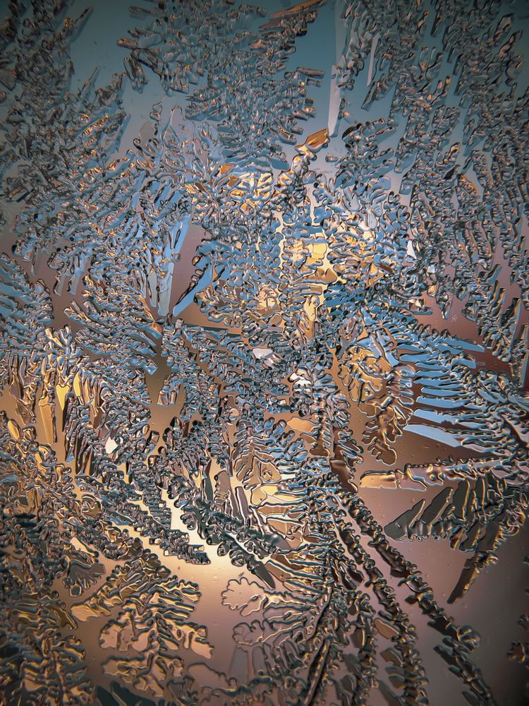 Photograph by Lapshina Vladlena