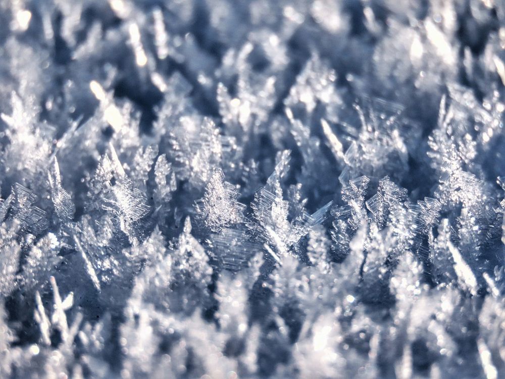 Фотография автора Екатерина Солохина