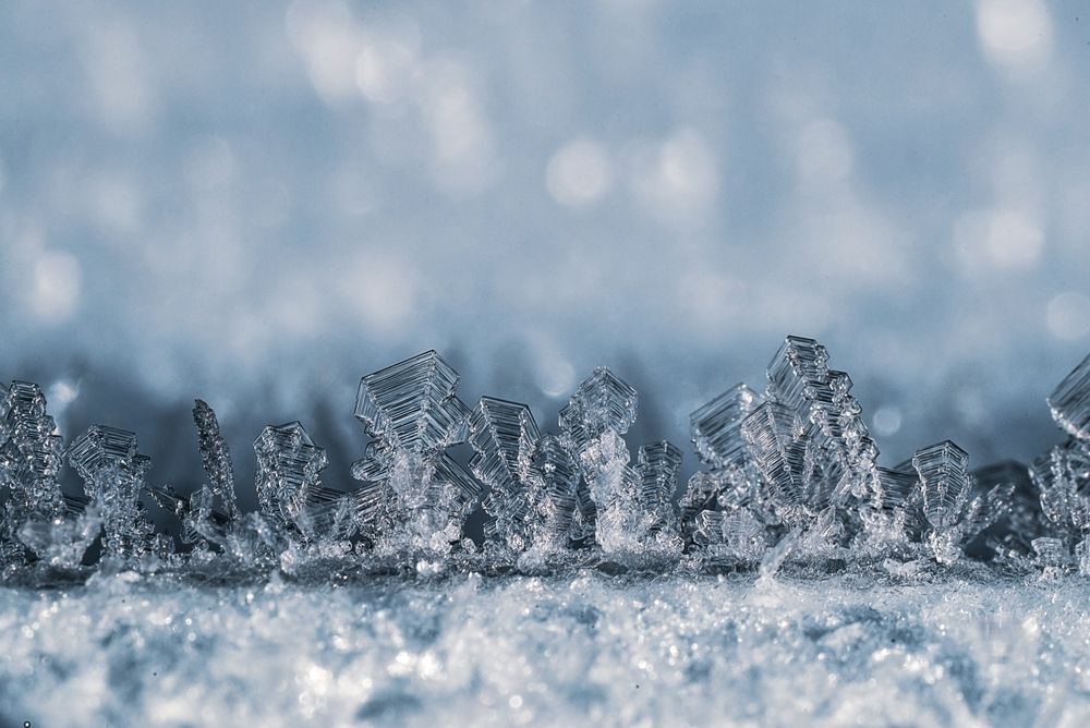 Photograph by Lapshina Vladlena