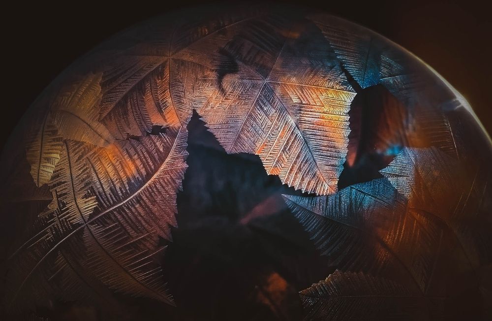 Photograph by Lapshina Vladlena