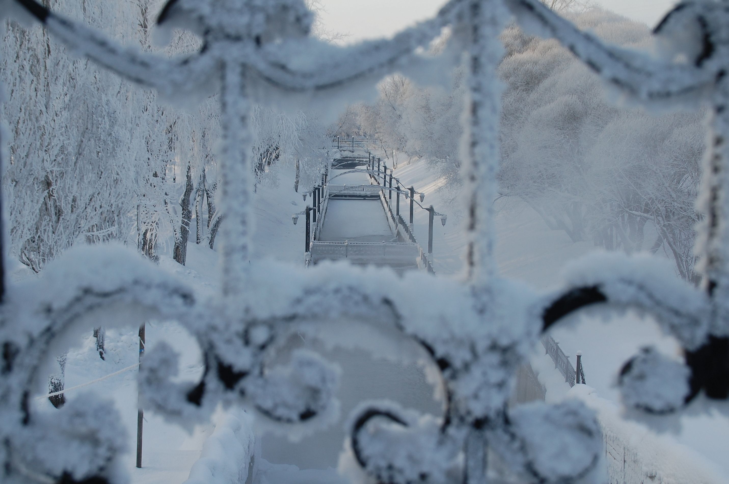 Photograph by Владислав Рубцов
