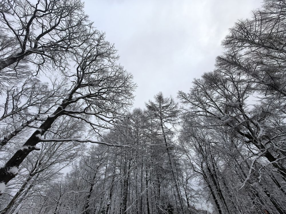 Photograph by Виталий Полозов