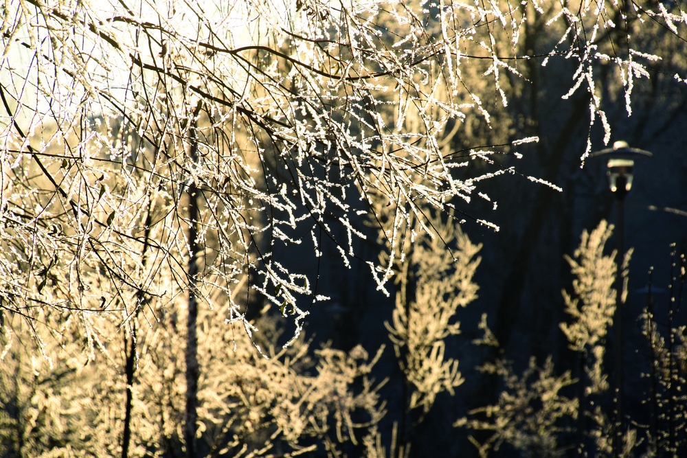 Photograph by Владислав Рубцов