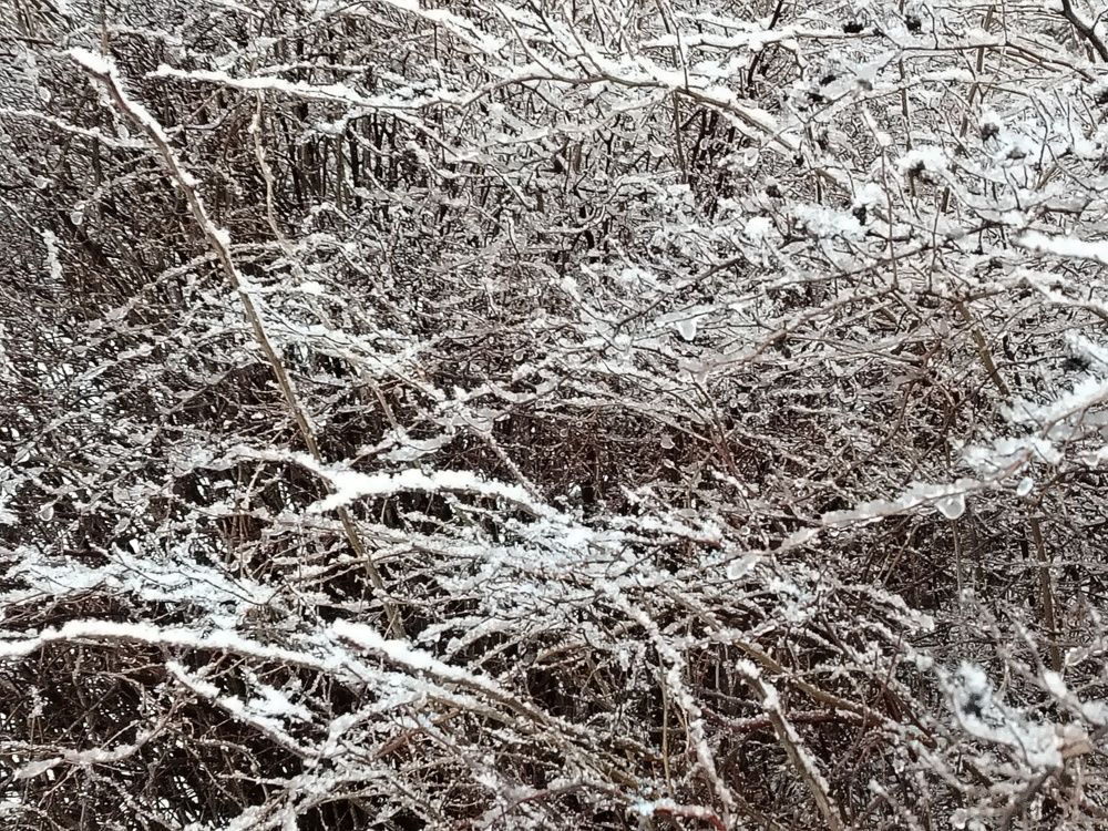 Photograph by Наталия