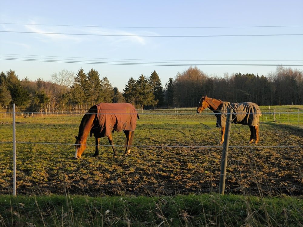 Photograph by Елена Симонова