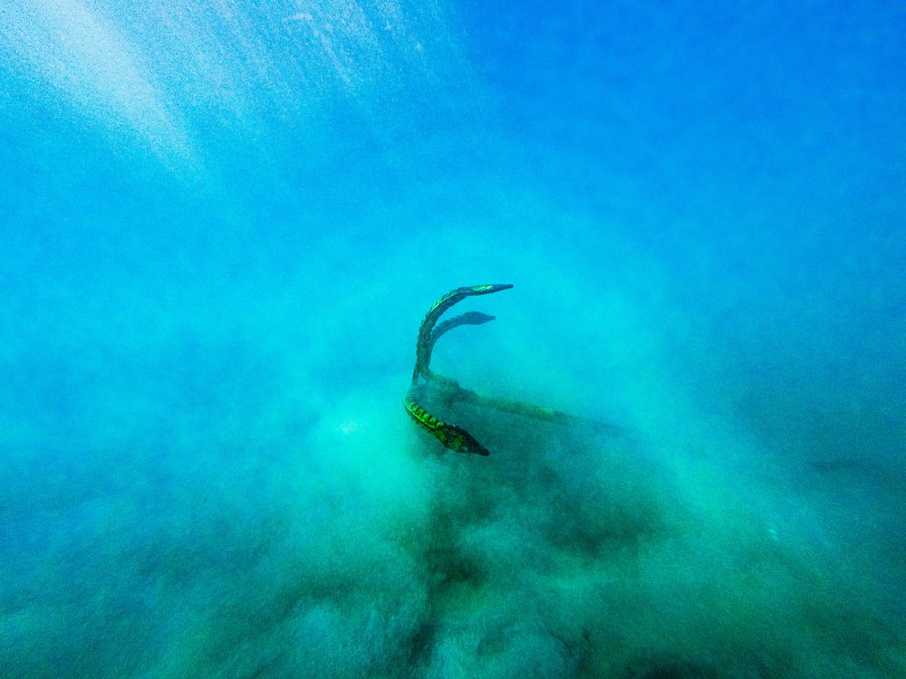 Photograph by Jahantigh Hossein