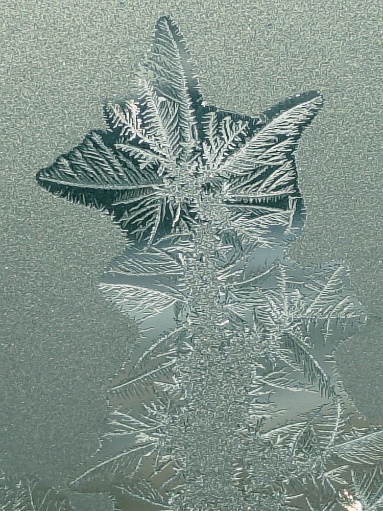 Интересная макушка.