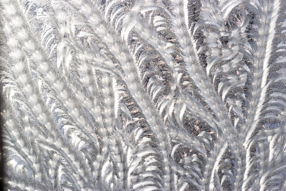 Photograph by Анна-Лаймуте Милошевич