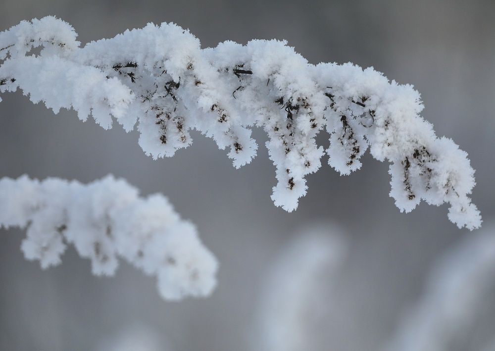 Photograph by Лариса Ким