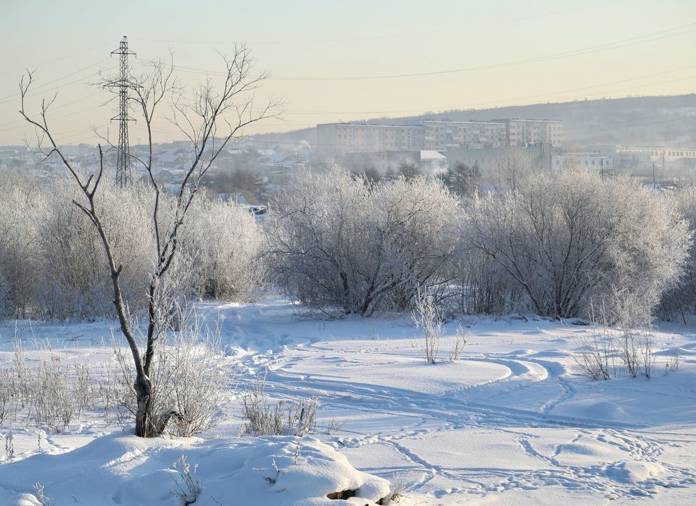 Photograph by Лариса Ким
