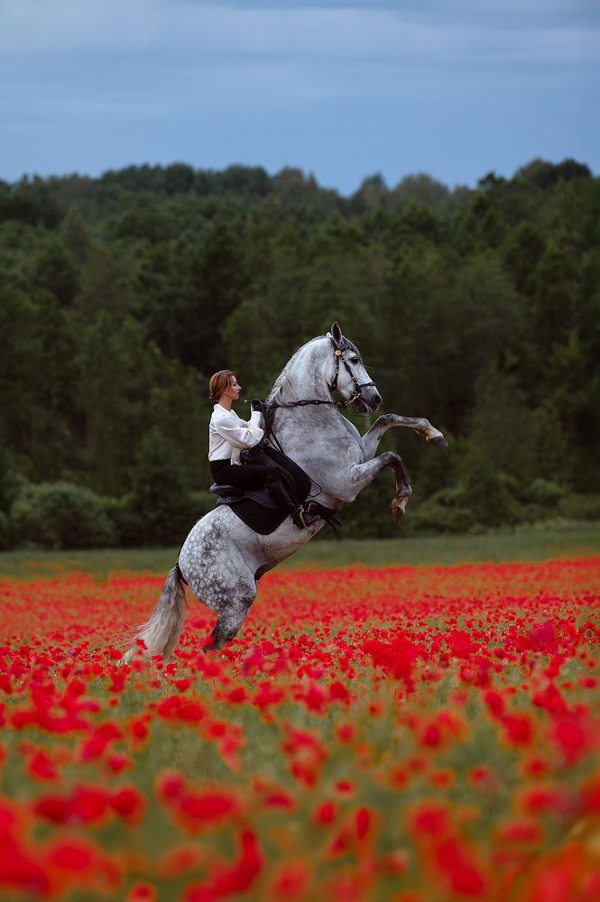 Photograph by Светлана Трушева