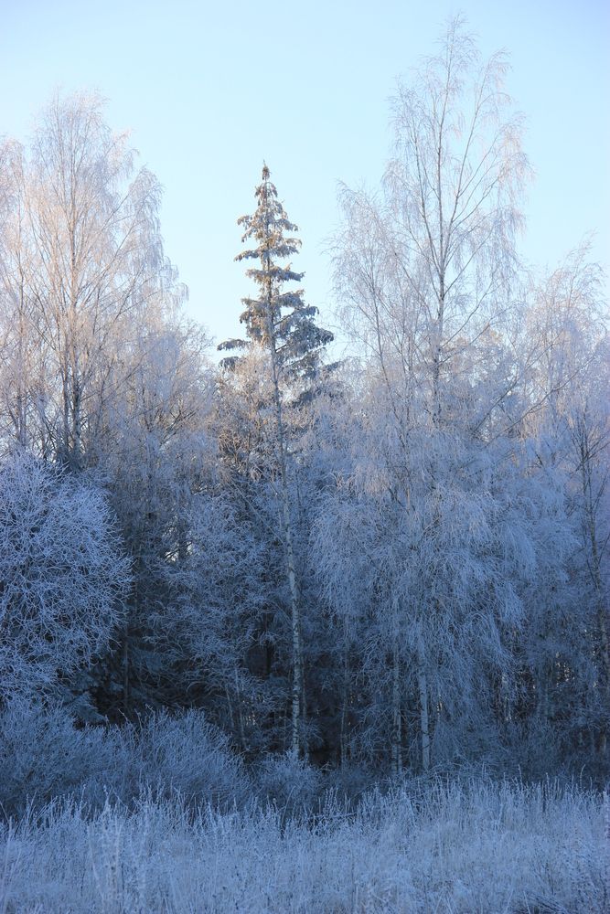 Photograph by Анна-Лаймуте Милошевич