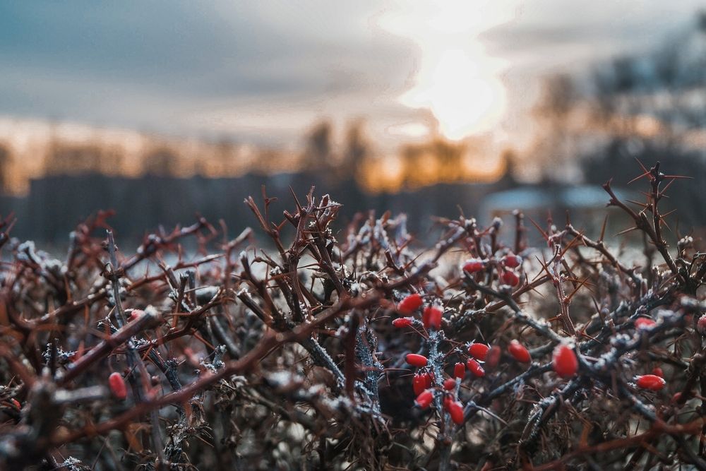 Photograph by Татьяна Иванеева