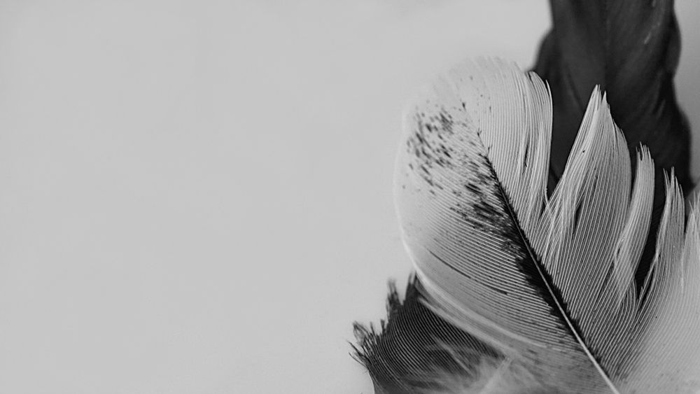 Photograph by Наталья Мубаракшина