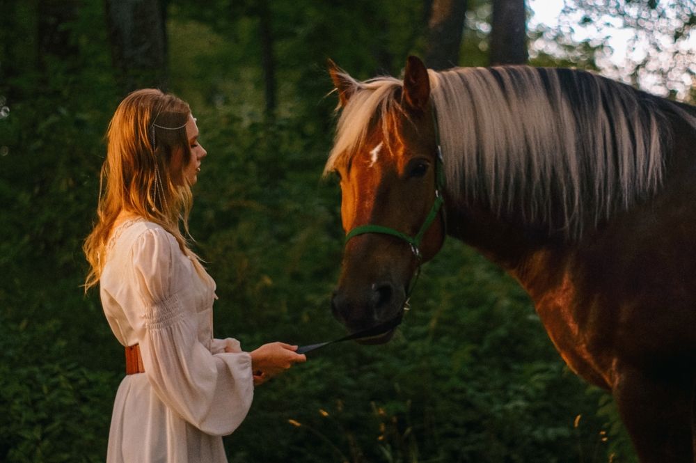 Photograph by Татьяна Иванеева