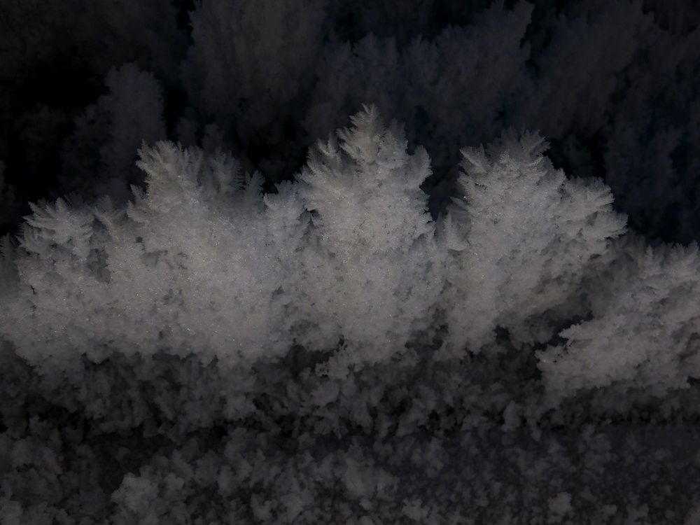 Photograph by Дмитрий Симагин