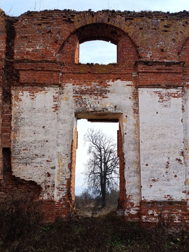 Photograph by Татьяна Иванеева