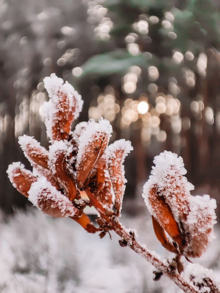 Photograph by Олеся Хижко