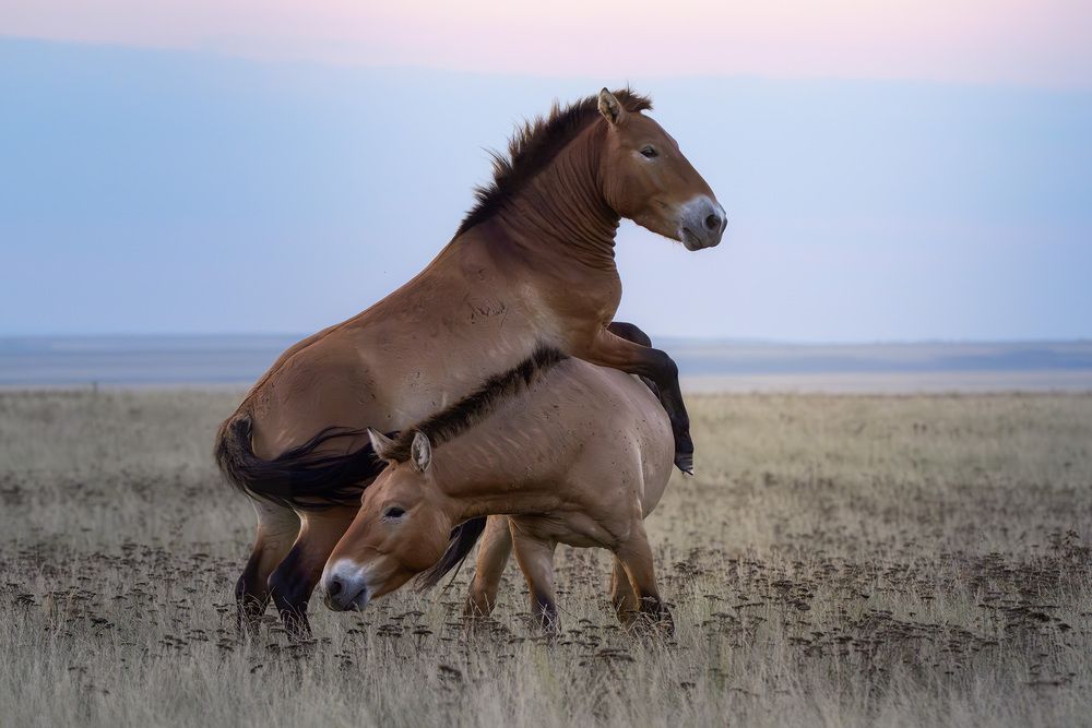 Фотография автора Михаил Ездаков