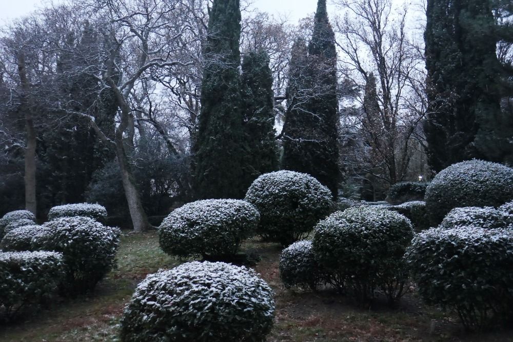 Photograph by Антон