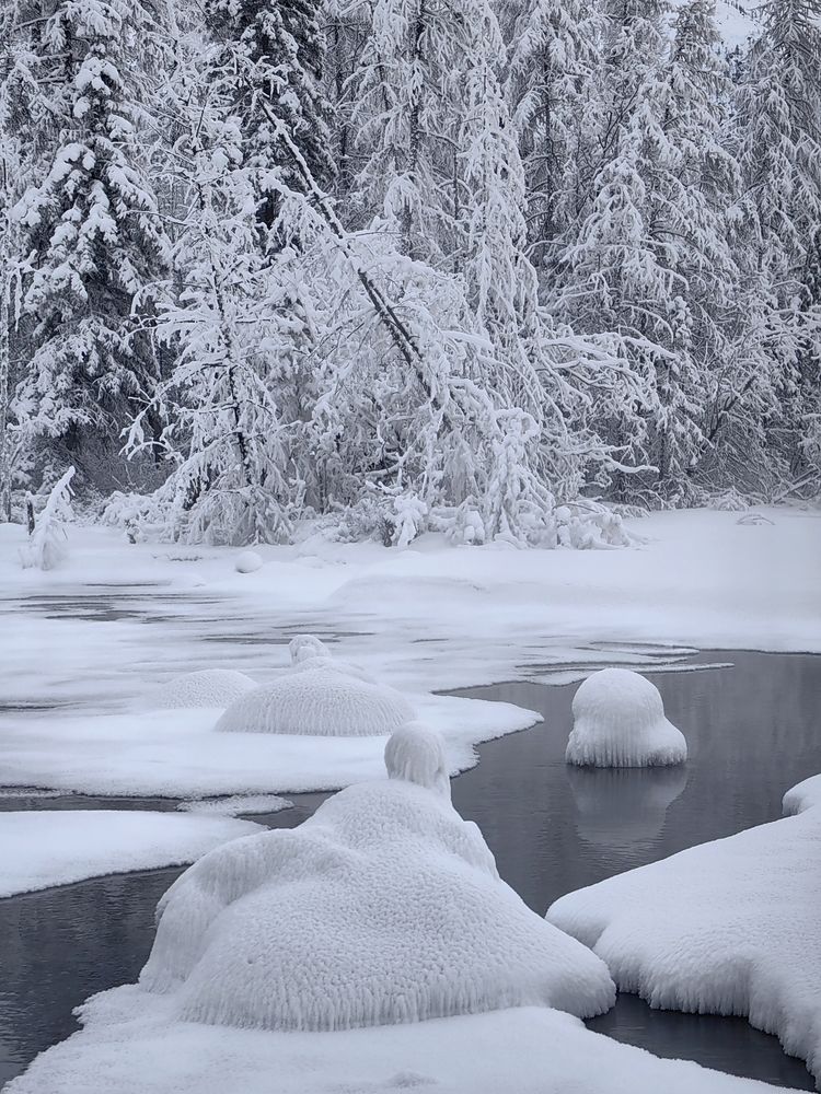 Photograph by OLGA MIKHNEVICH