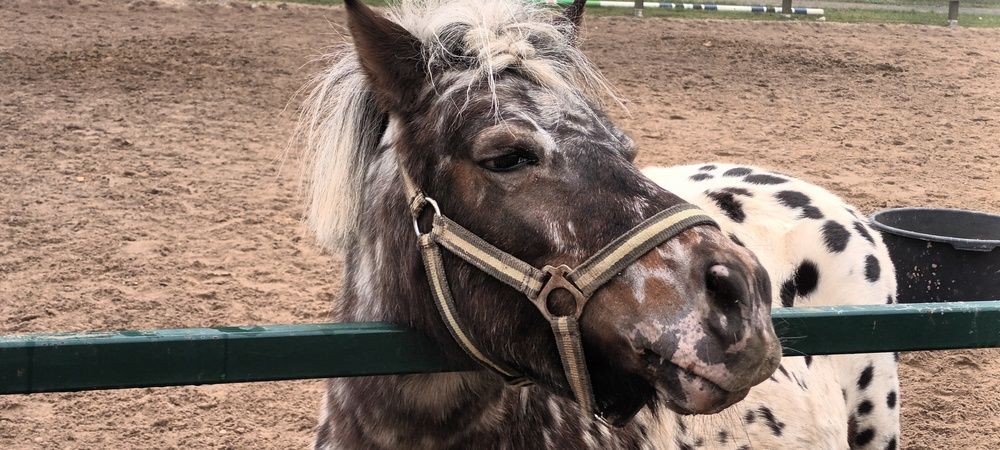 Привет! Я -Марс.