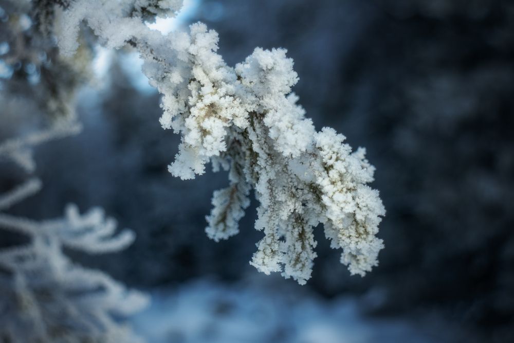 Photograph by Никита Костылёв