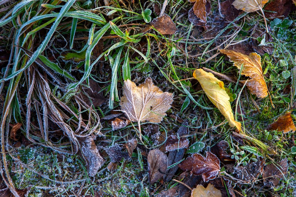 Photograph by Диана Бородзе