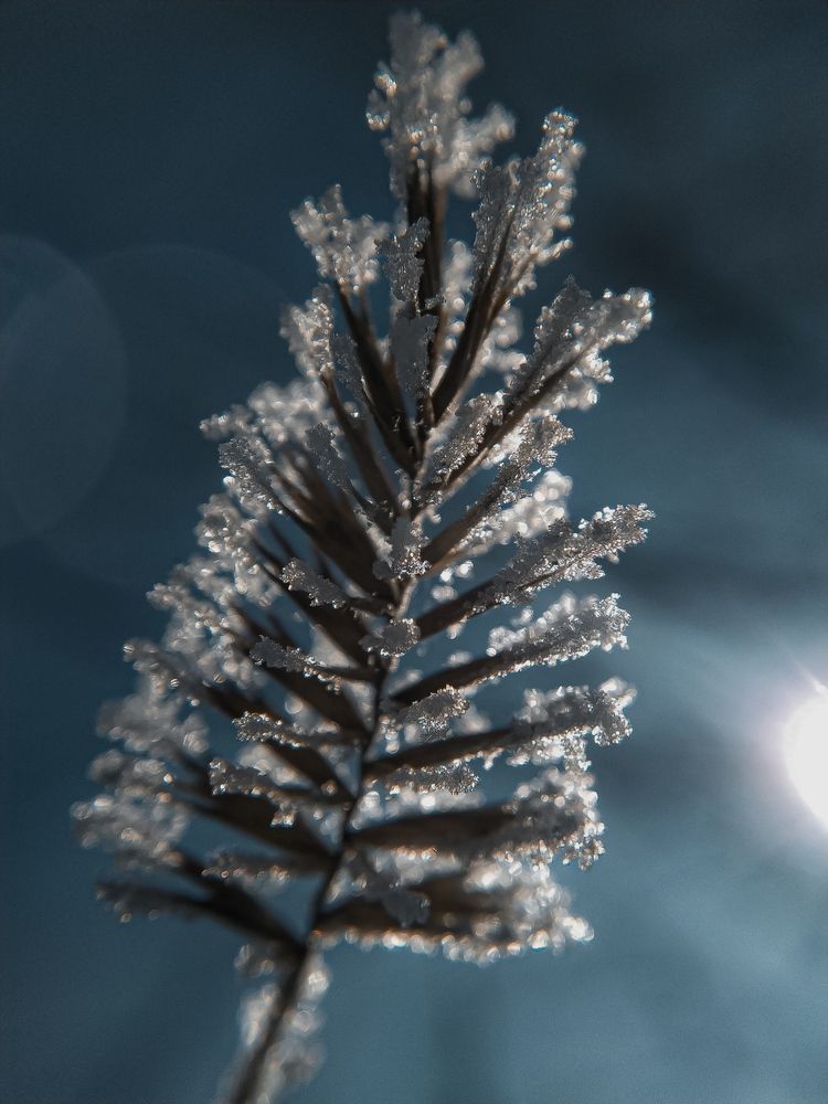Фотография автора Наталья Алексеева