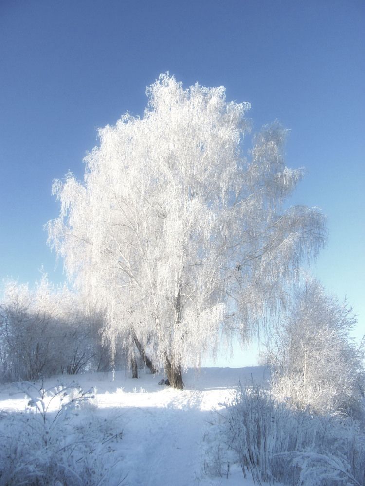 Photograph by Ирина Александрович