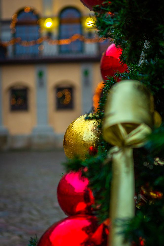 Photograph by Диана Бородзе