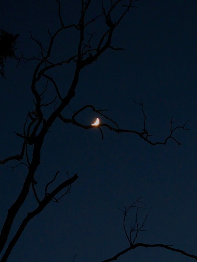 Photograph by Dasun Adeesha
