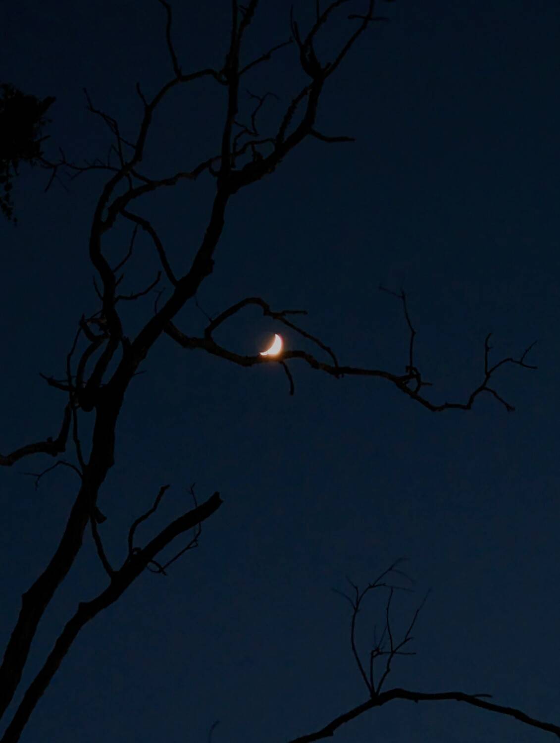 Photo #13001713