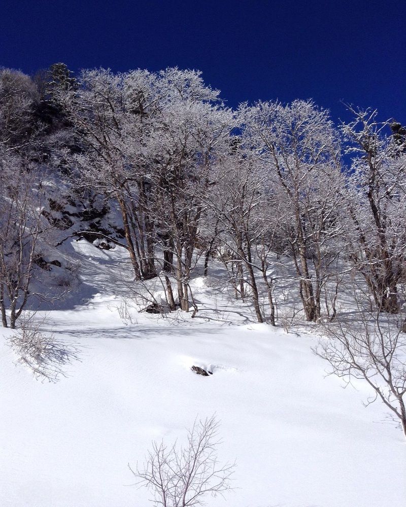 Фотография автора Наталья Гаврилова