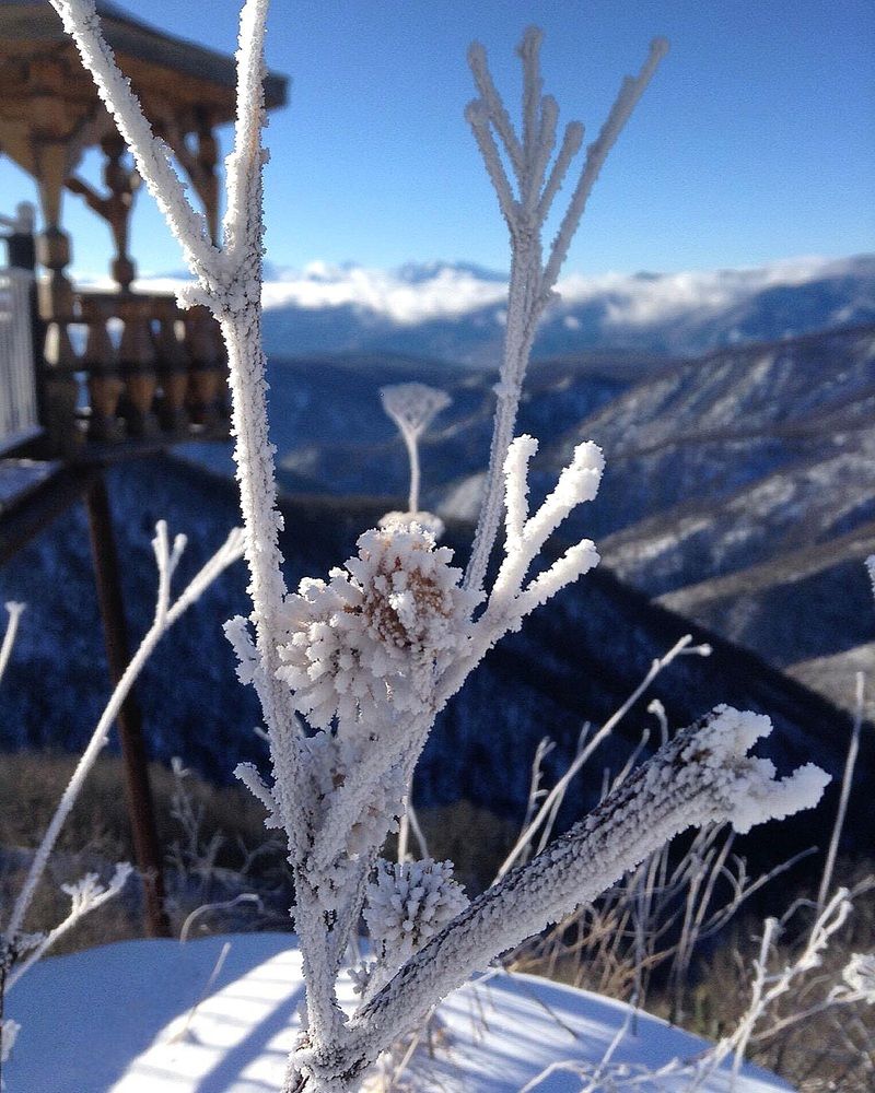 Фотография автора Наталья Гаврилова