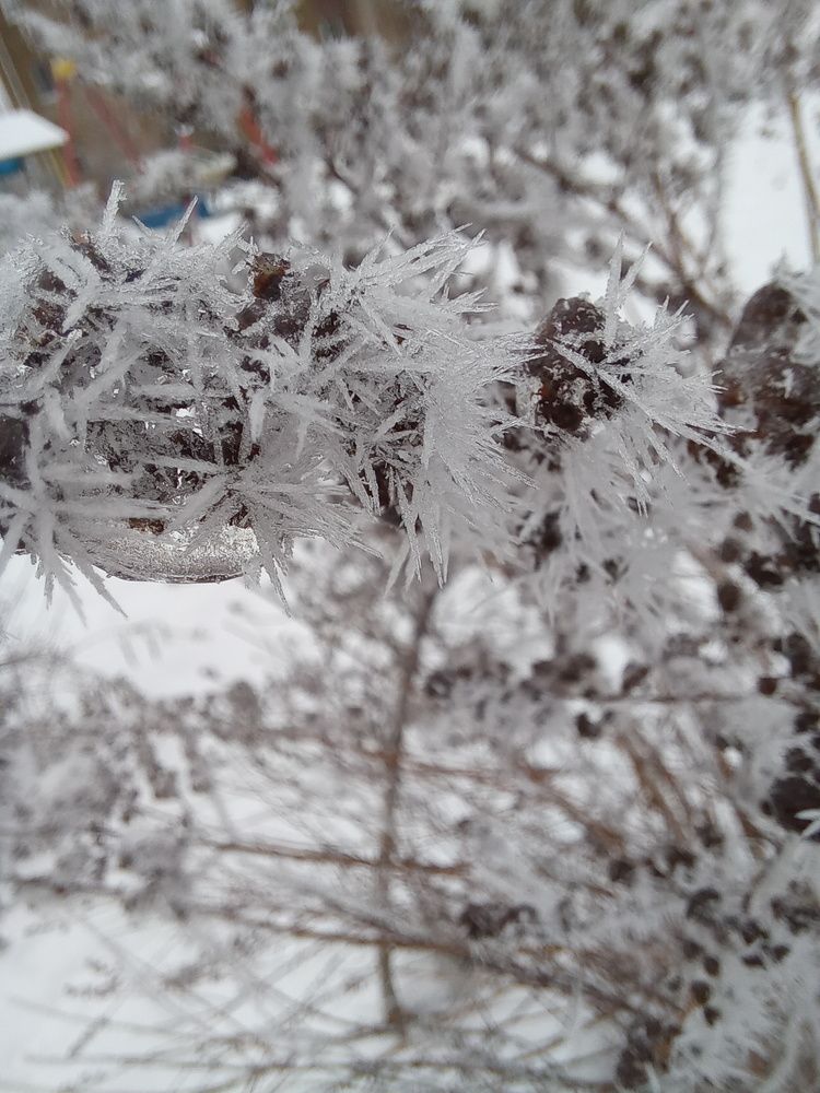 Photograph by Ольга Юрченко