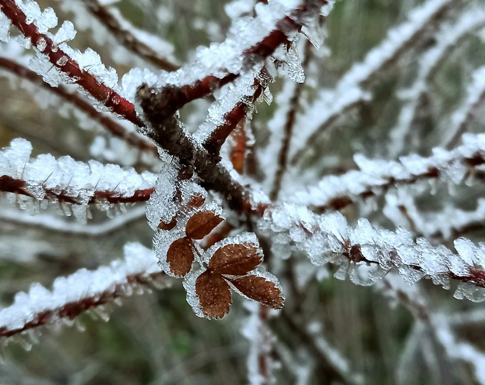 Photograph by Ольга Юрченко