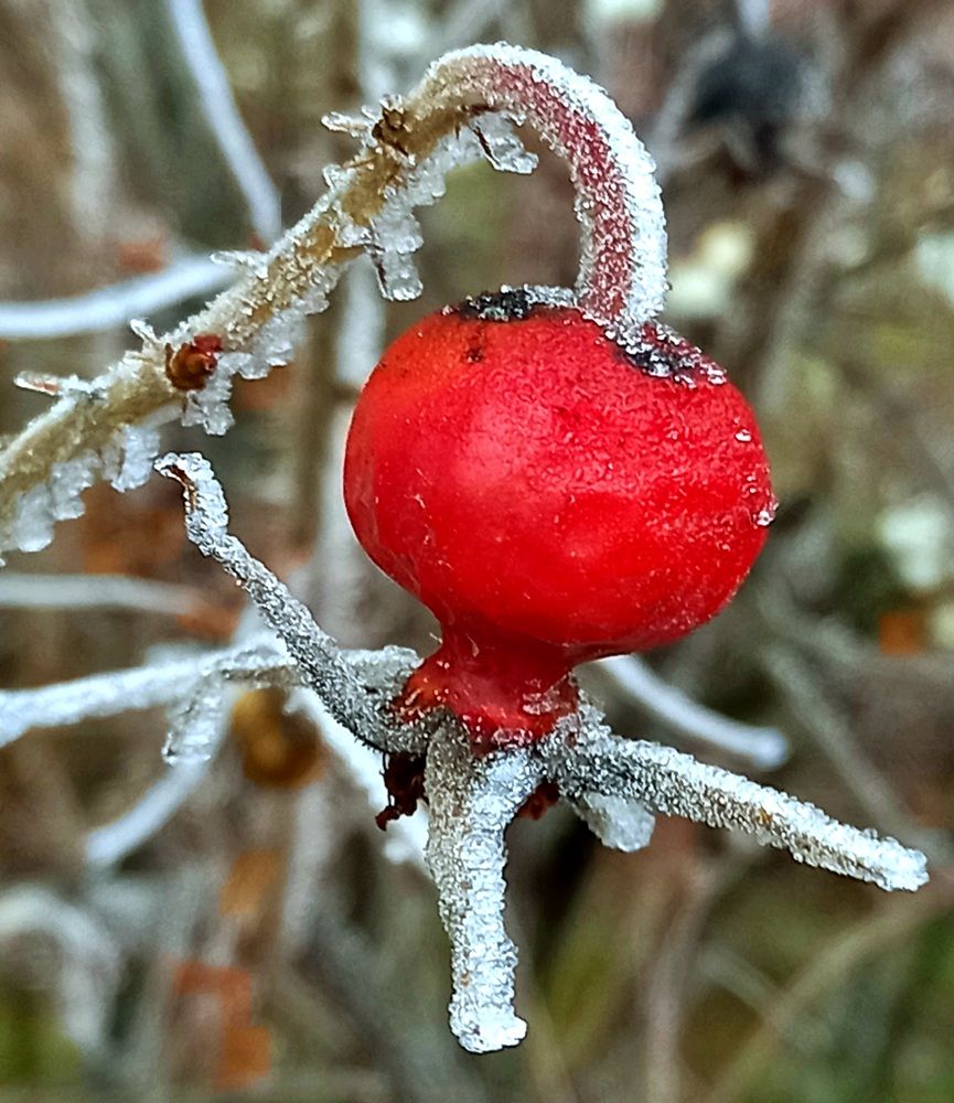 Photograph by Ольга Юрченко