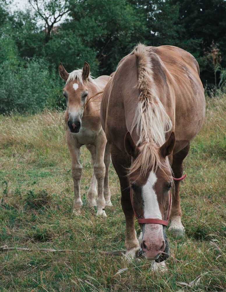 Photograph by Plesa Ioan Dan