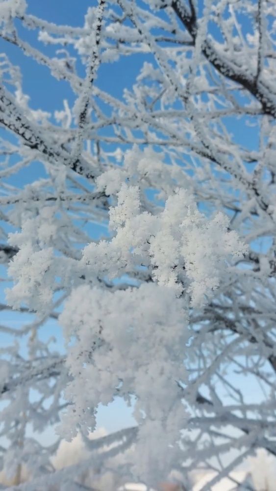 Photograph by Наталья Филянина