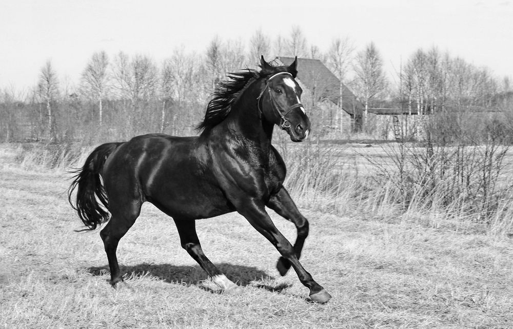 Фотография автора Ilva Buntika