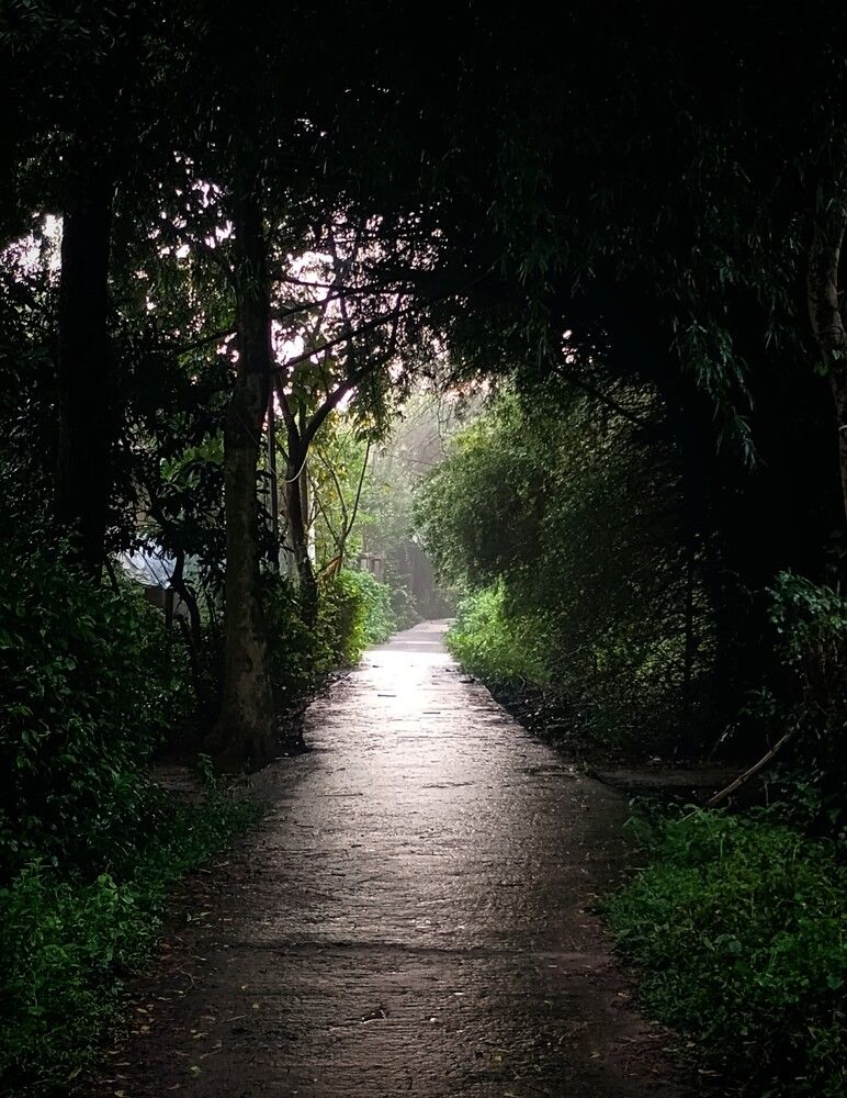 Photo #13001822
