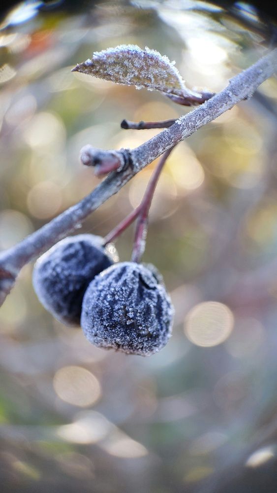 Photograph by Наталья Филянина