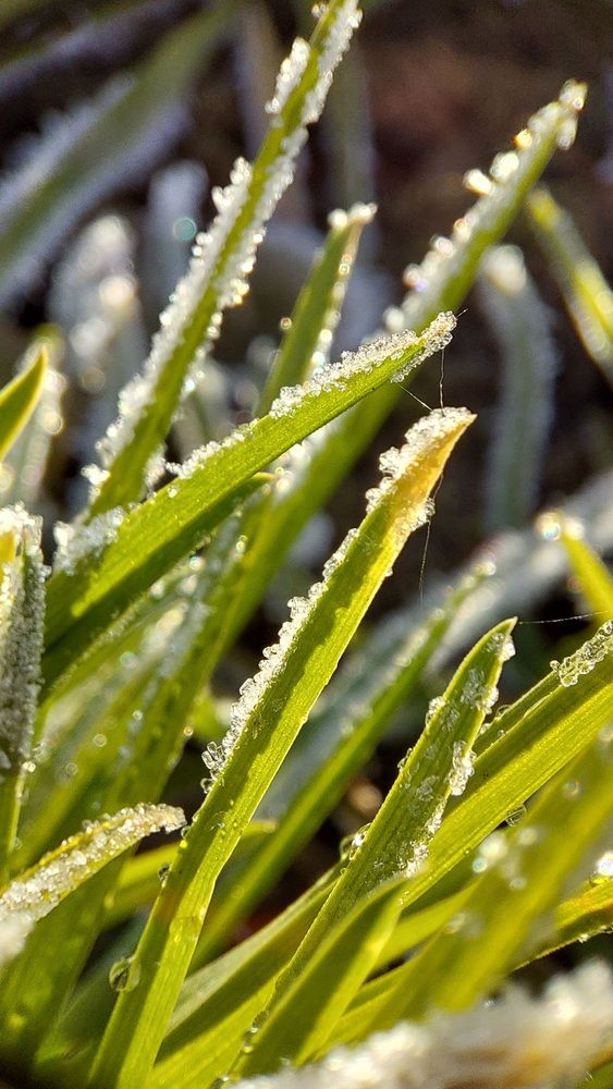 Photograph by Наталья Филянина