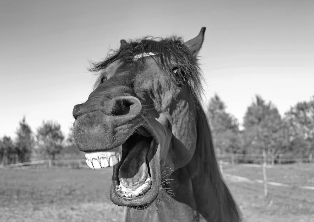 восхищение