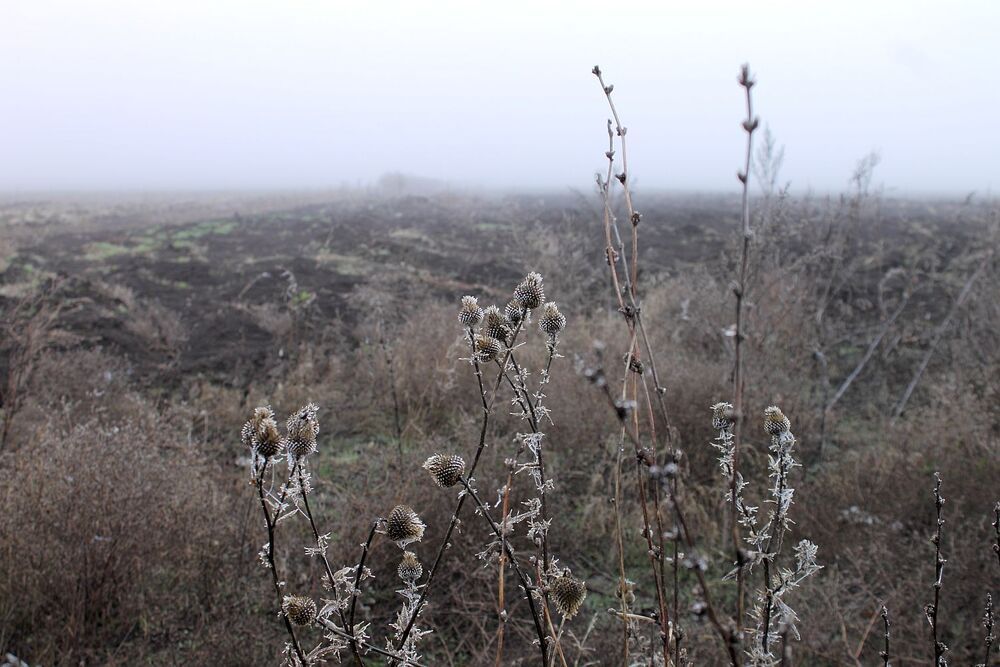 Photograph by Юрий Варюхин