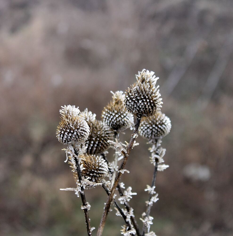 Photograph by Юрий Варюхин