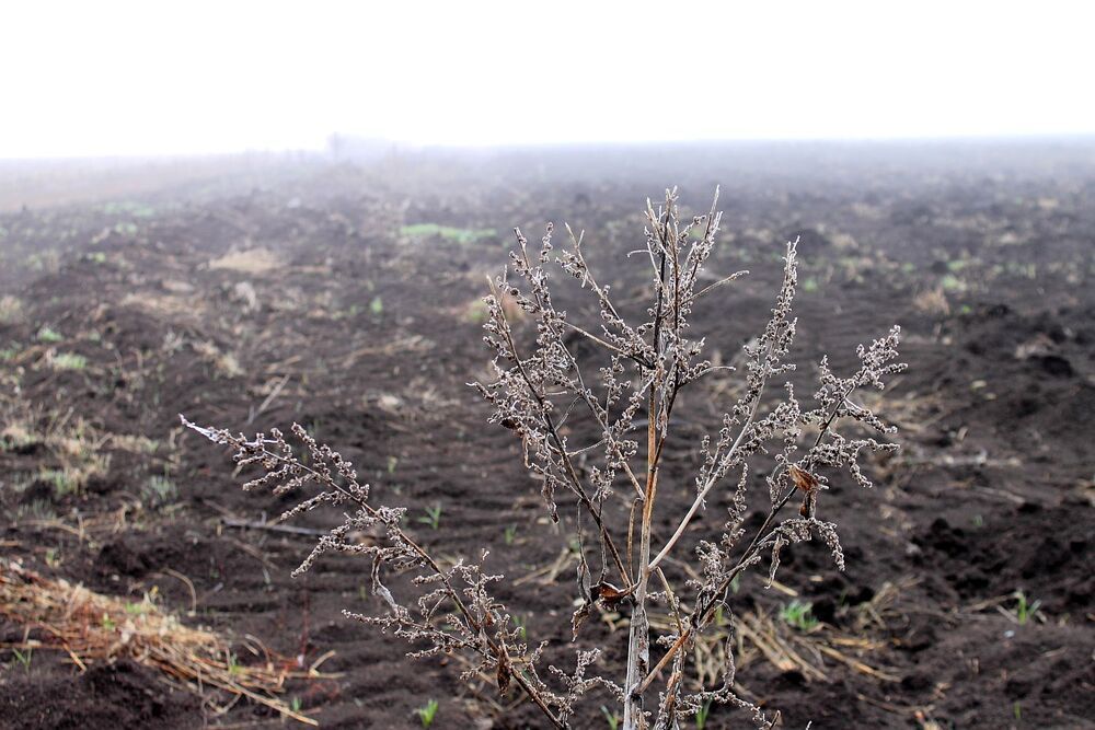 Photograph by Юрий Варюхин